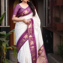 THE AQUARIUS Checkered Woven Design Zari Saree image 2