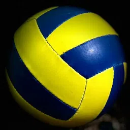 Volleyball 2 Volleyball - Size: 5-image-17