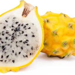 fsk Dragon Tree image 2