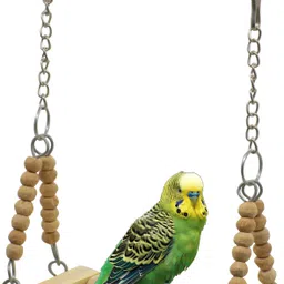 Natural Wooden Swing Toy Perch for Bird Cage Resting Toy For Parrots Wooden Chew Toy, Training Aid, Perch For Bird-image-45