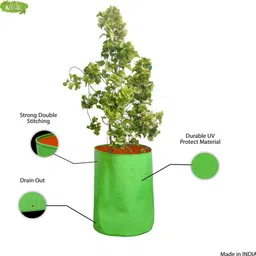 visik 18x24(2 Piece)Suitable for trees like pomegranate, Drumstick, Banana, Palms Tree Grow Bag image 4