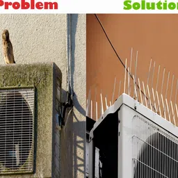 sigs Bird Spike image 5