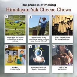 dogsee chew Small Bars|100% Natural Himalayan Vegetarian Yak Chew Sticks-100 gm Cheese Dog Chew image 5