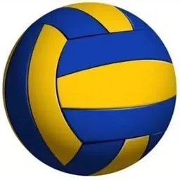 Volleyball and Pump set, FREE PIN Volleyball - Size: 5-image-28
