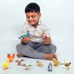 hashone Bird Figures Toys for Kids 3D Model Birds Animal Figure Play Set 10PC image 3