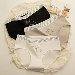 houseofcommon Pack of 3 Women Bikini Multicolor Panty-picture-25