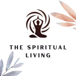 the spiritual living Wind Chimes Sound Bell | Wind Chimes | Wind Chimes for Balcony & Home Silver Plated Windchime image 5