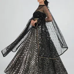 trendmalls Embroidered Semi Stitched Lehenga Choli-picture-25