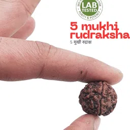 hart eye Beads Wood Locket Set image 5