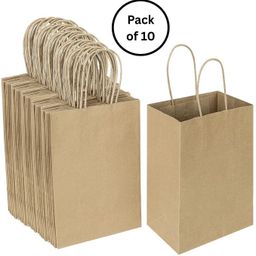 interbix nature plus pvt ltd Solid Party Bag-picture-0
