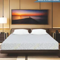 doctor mattrezz Spinetch Orthopedic 8 inch Memory Foam Queen Size Mattress (With 2 Free Pillows)-picture-17