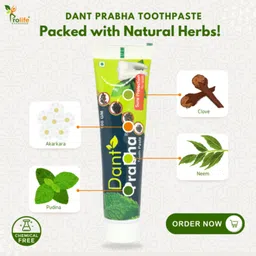 dant prabha Ayurvedic Toothpaste image 3
