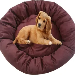 slatters be royal store Quality Velvet Luxury Washable DOG Sofa For All Season Sleeping CatPuppy XL Pet Bed-picture-14