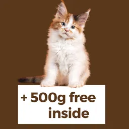 tito boo Eco Friendly Pinewood Litter From Organic Pine Trees Safe & Gentle on Paws-5.5Kg Pet Litter Tray Refill image 3