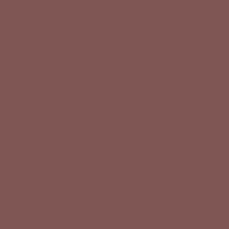 PERPAA Colorich Chip Resistant & Long Lasting Glossy Nail Polish 10 ml - Coco Brown 16 image 2