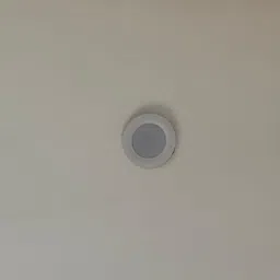 zypsunpower Downlighter Ceiling Light Ceiling Lamp image 4