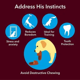 petjoy Dog Chew Sticks, Mix Flavor Dog Snacks, Dog Treat (500g Chicken & 500g Mutton), Chicken, Mutton Dog Chew image 2