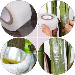siddhi 1 Inch x 100 Meter Grafting Tape for Nursery and Garden Stretchable Moisture barrier Width- 2.54cm Manual pack of 3 tape Manual Tape (Manual) image 2