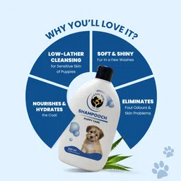 fur ball story Shampooch Puppy Shampoo for Gentle Cleansing Anti-Bacterial Natural Dog Shampoo image 5