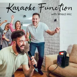 T-Series with Wired Mic,(Black & Orange),Karaoke,AmbienceLight,SD/MMC,USB,FM,AUX 12 W Bluetooth Home Audio Speaker image 5