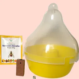 s k agrotech Bactrocera Dorsailas - fruit fly lure & Mac phill pheromone trap (Pack of 05) Garden Tool Kit-picture-28