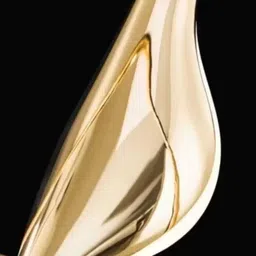 kayuv Wallchiere wall lamp beautiful metal bird Chandelier Ceiling Lamp image 4