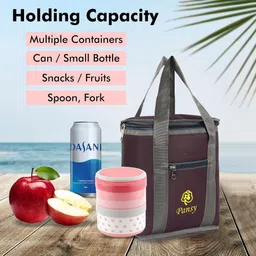 raiko lunch bag FOR Boys &Girls lunch bag for kids and lunch bags for men 7L Multi Waterproof Lunch Bag-picture-24