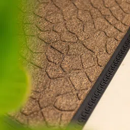 floorgardens PP (Polypropylene) Door Mat image 4