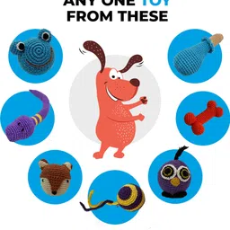 captain zack The French Bull Dog Groom Box – Ultimate 8-in-1, Head-to-Paw Groom-Kit for Your Dog- (Shampoo +Conditioner +Dry Shampoo +Paw Butter +Toy +Towel)- pH Neutral and Paraben Free Pet Spa Kit image 5