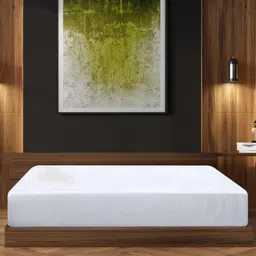 maher beeding 500 TC Cotton Queen Solid Fitted (Elastic) Bedsheet image 3