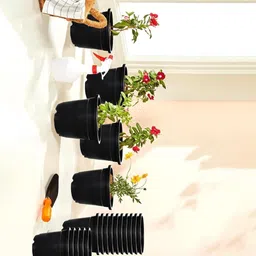 blooming furnancy 8 INCH Planter Pack of 12 Nursery pots Set Plastic Planter Plant Container Set image 2