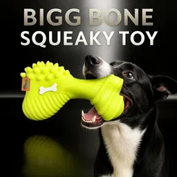 dreamauro Pet Squeaky Toy Big Bone Design Rubber Chew with 3 Textured Surfaces for Dogs Rubber Chew Toy, Rubber Toy, Squeaky Toy, Training Aid For Dog & Cat image 2