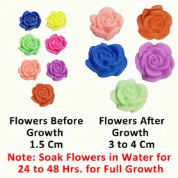 aquabloom Multicolour Jelly Balls 1500-Pc (Approx.) & 10 Growing Flower Magic Water Beads image 4