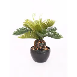 ARICK DECOR Artificial Cycas Bonsai Plant with Pot image 2