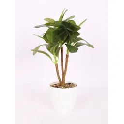 ARICK DECOR Artificial Ficus Potted Bonsai Plant with Pot image 2