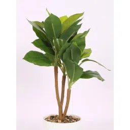 ARICK DECOR Artificial Ficus Potted Bonsai Plant with Pot image 3