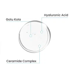 Earth Rhythm Moisture Punch Multi-Molecular & Hyaluronic Acid Serum - 15 ml image 3