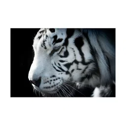 Inephos Black And White 1 Piece Birds and Animals Printed Canvas Wall Art-image-70