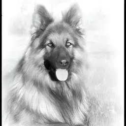 Wallpics Black & Red Paper Waterproof Wall Sticker-picture-16