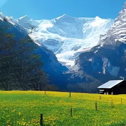British Terminal Green & Yellow Nature Wall Poster-picture-34