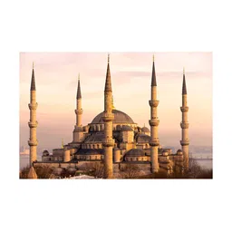 Inephos Brown & Beige 1 Piece Canvas Other Wall Paintings-image-40