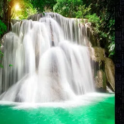 PnF Black & Green Paper Floral and Botanical Wall Painting-picture-32