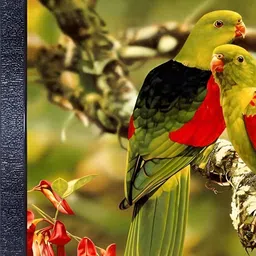 PnF Black & Green Wooden Birds and Animals Painting Wall Art-picture-35