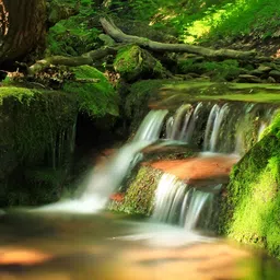 Wallpics Green & White Printed High Quality Fully Waterproof Wall Sticker Poster-picture-30