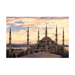 Inephos Beige & Blue 1 Piece Canvas Other Wall Paintings-picture-17