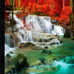 PnF Black & Green Wooden Floral and Botanical Wooden Painting Wall Art-image-46