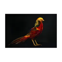 Inephos Black & Red 1 Piece Paper Other Wall Paintings-picture-19