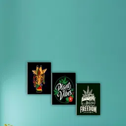 SAF Green & White 3 Pieces Motivational Quotes Printed Wall Art-picture-18