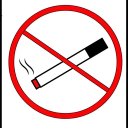 Wallpics White & Red No Smoking Printed High Quality Waterproof Wall Poster image 2