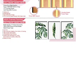 SAF White & Green 3 Pieces Tropical Leaves Painting Wall Art image 3